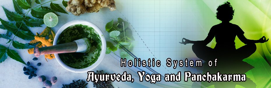 Holistic-system_new