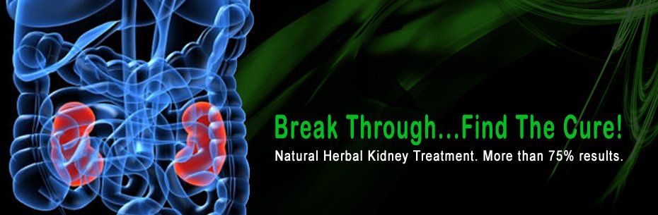 Kidney