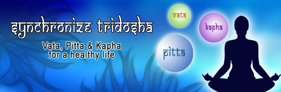 Synchronize-trishodha_new