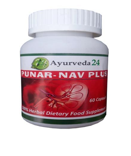purnav nav plus