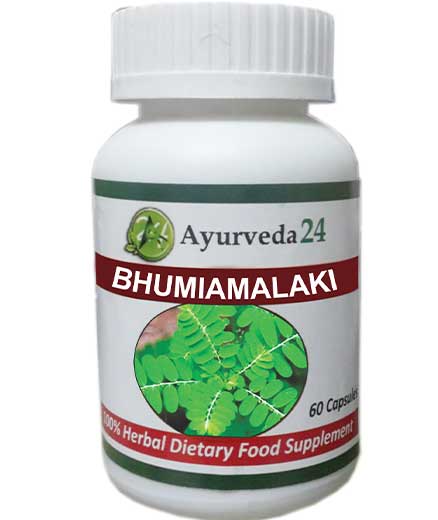 BHUMI-AMALAKI