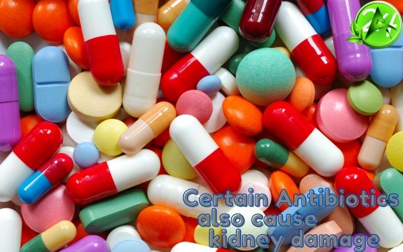 ayurvedic treatment for kidney failure